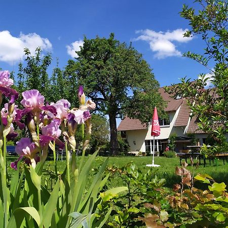 Landgasthof Zum Rappen Creglingen Exterior foto