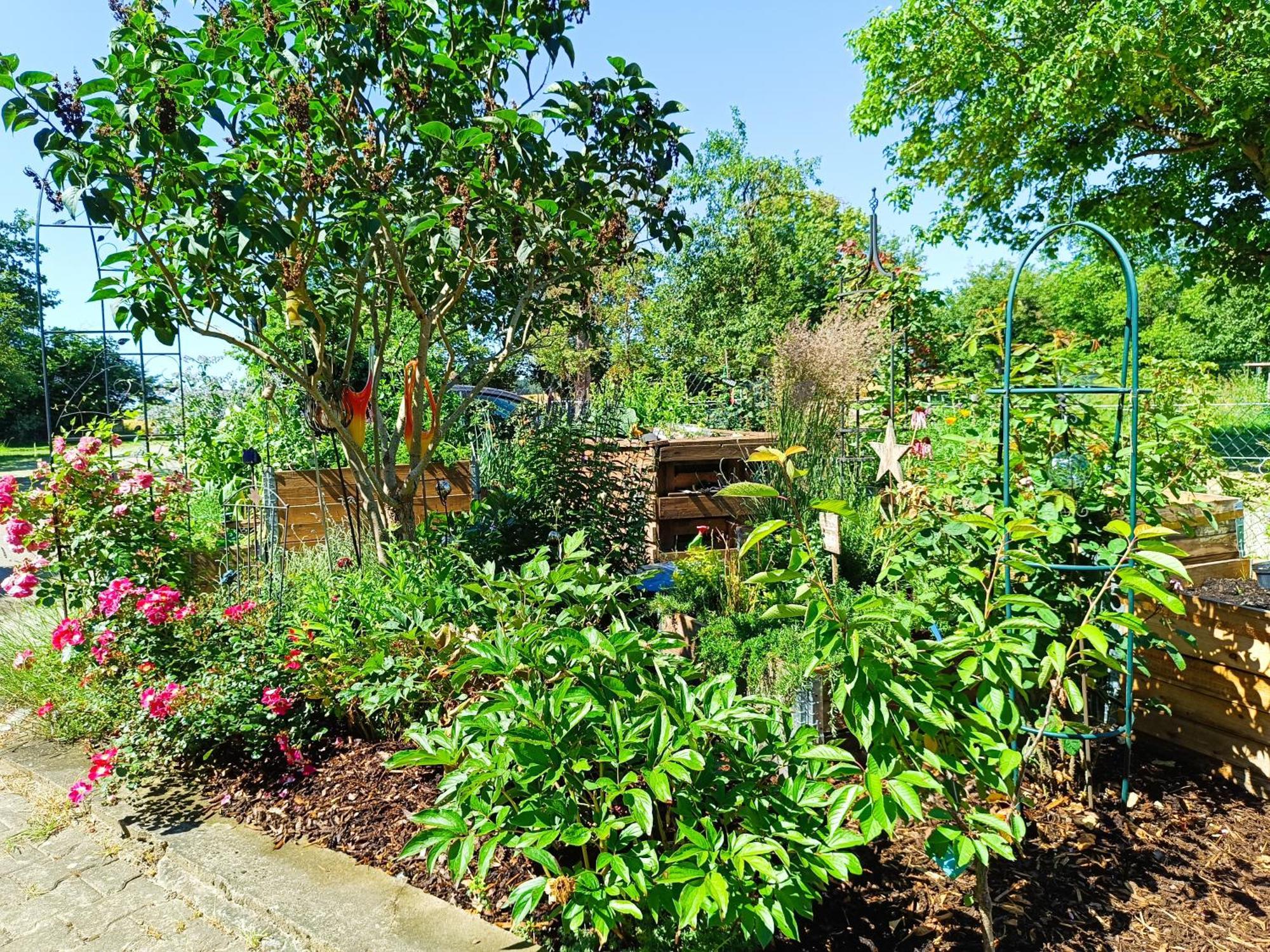 Landgasthof Zum Rappen Creglingen Exterior foto